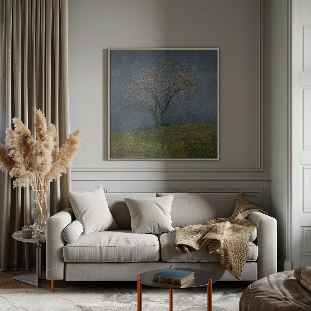 Almond tree Poster och Canvastavla