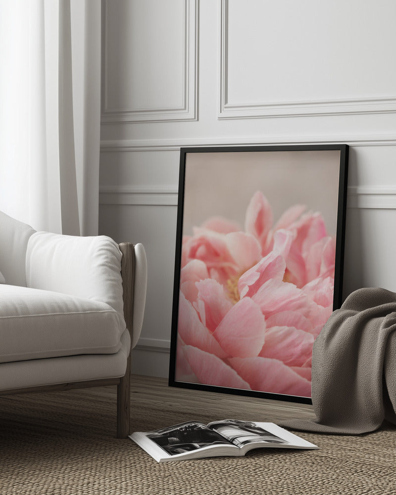 Peony 4 Poster och Canvastavla