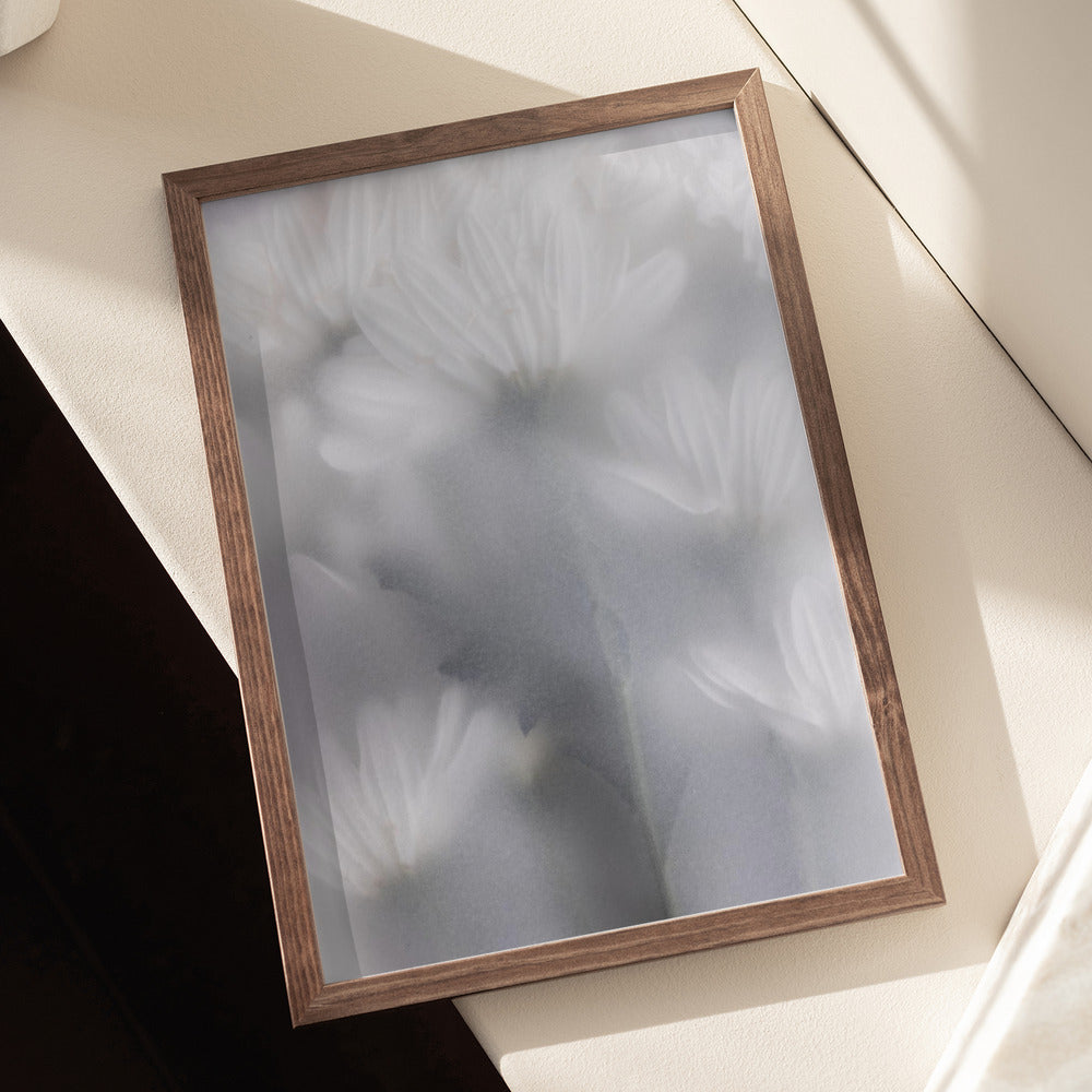 Blurred Flowers 6 Poster och Canvastavla