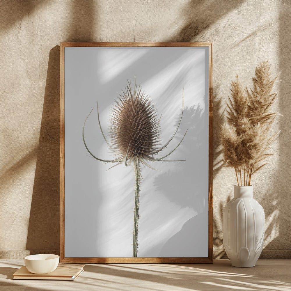 Dried_004 Poster och Canvastavla