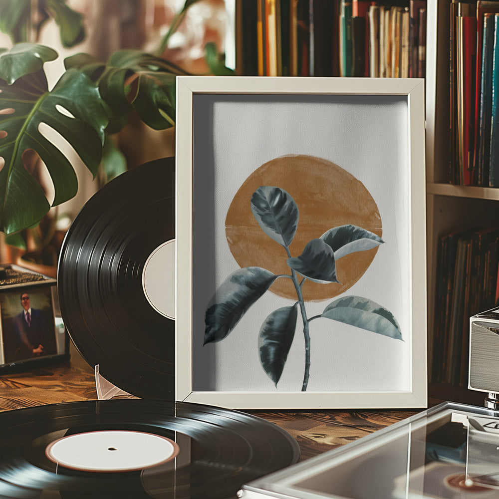 Sun and Ficus Poster och Canvastavla