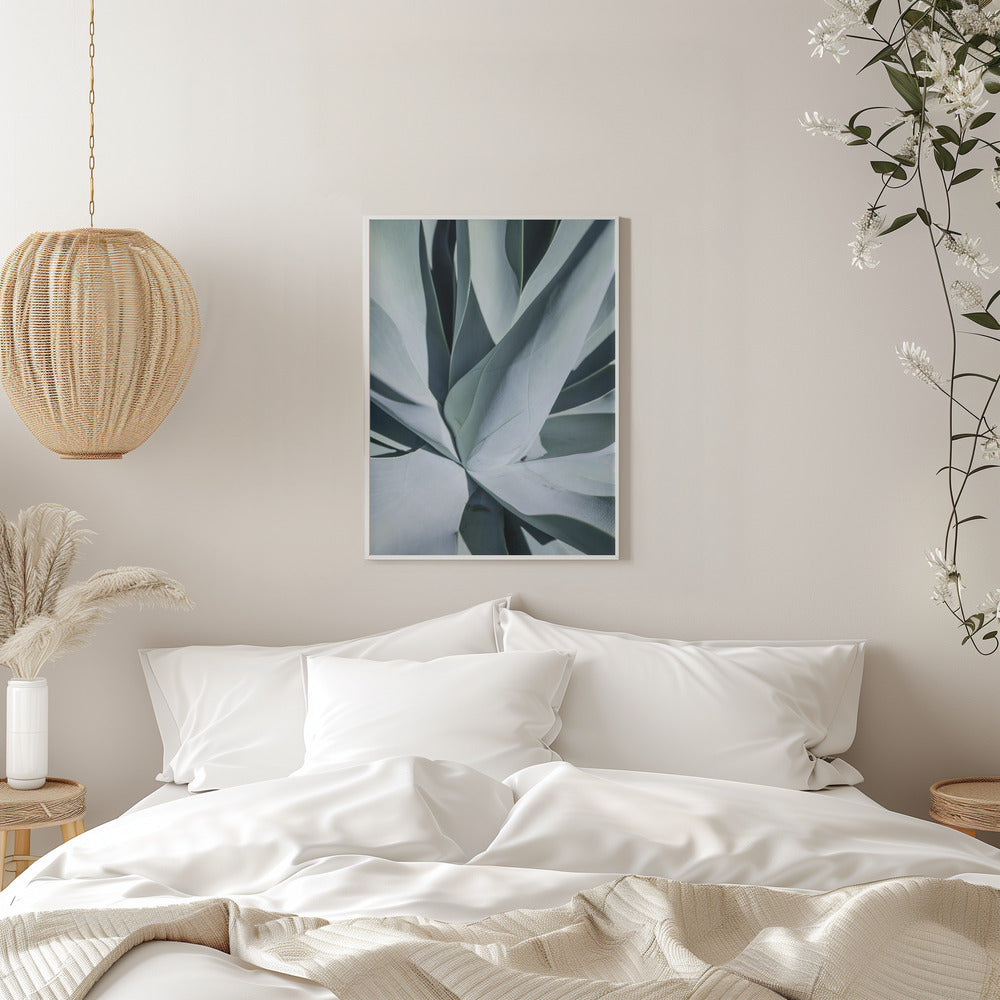 Aqua Cactus Poster och Canvastavla