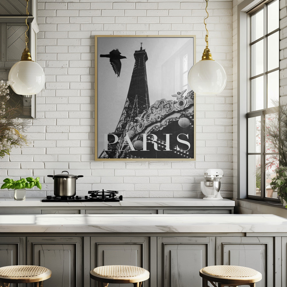 Paris Dove Poster och Canvastavla