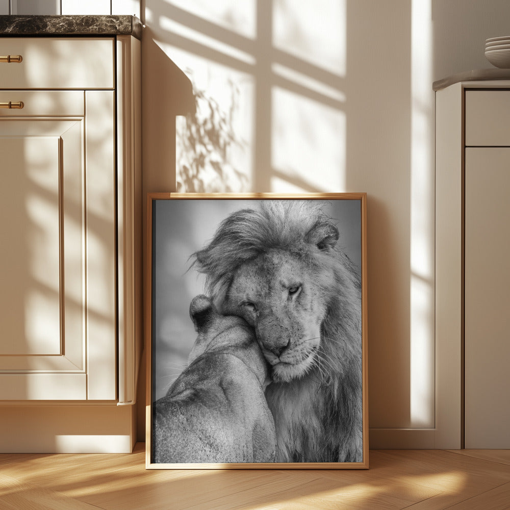 African Love! Poster och Canvastavla