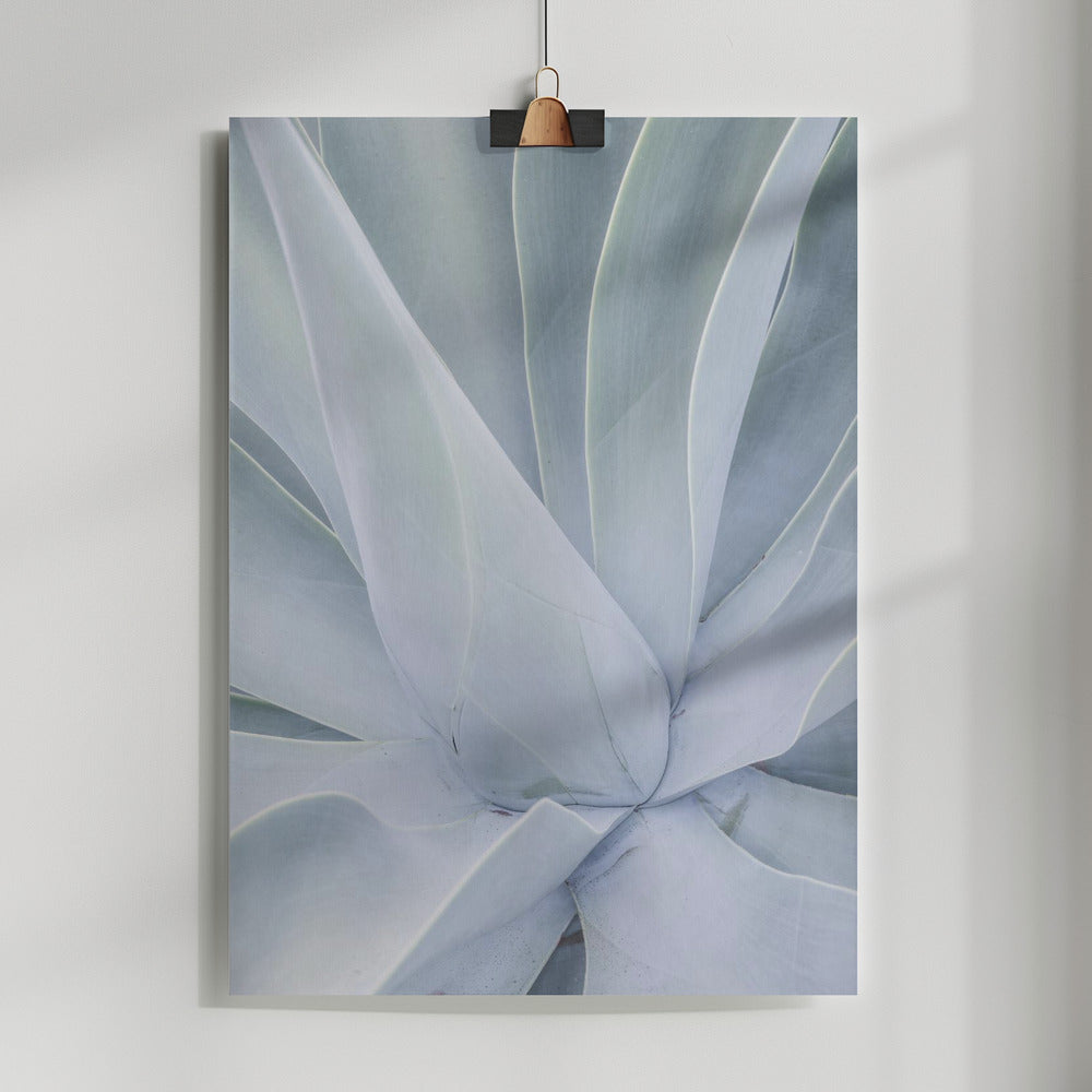 Crystal Cactus No2 Poster och Canvastavla