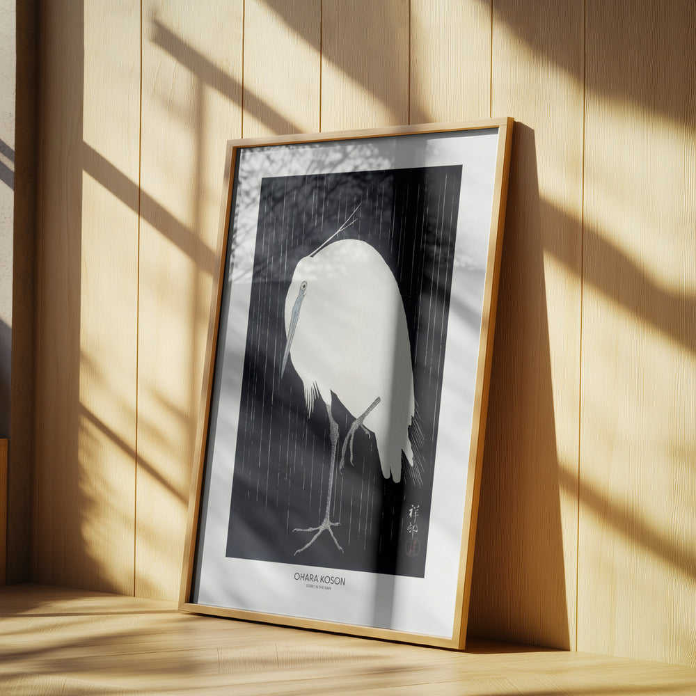 Egret In The Rain Poster och Canvastavla