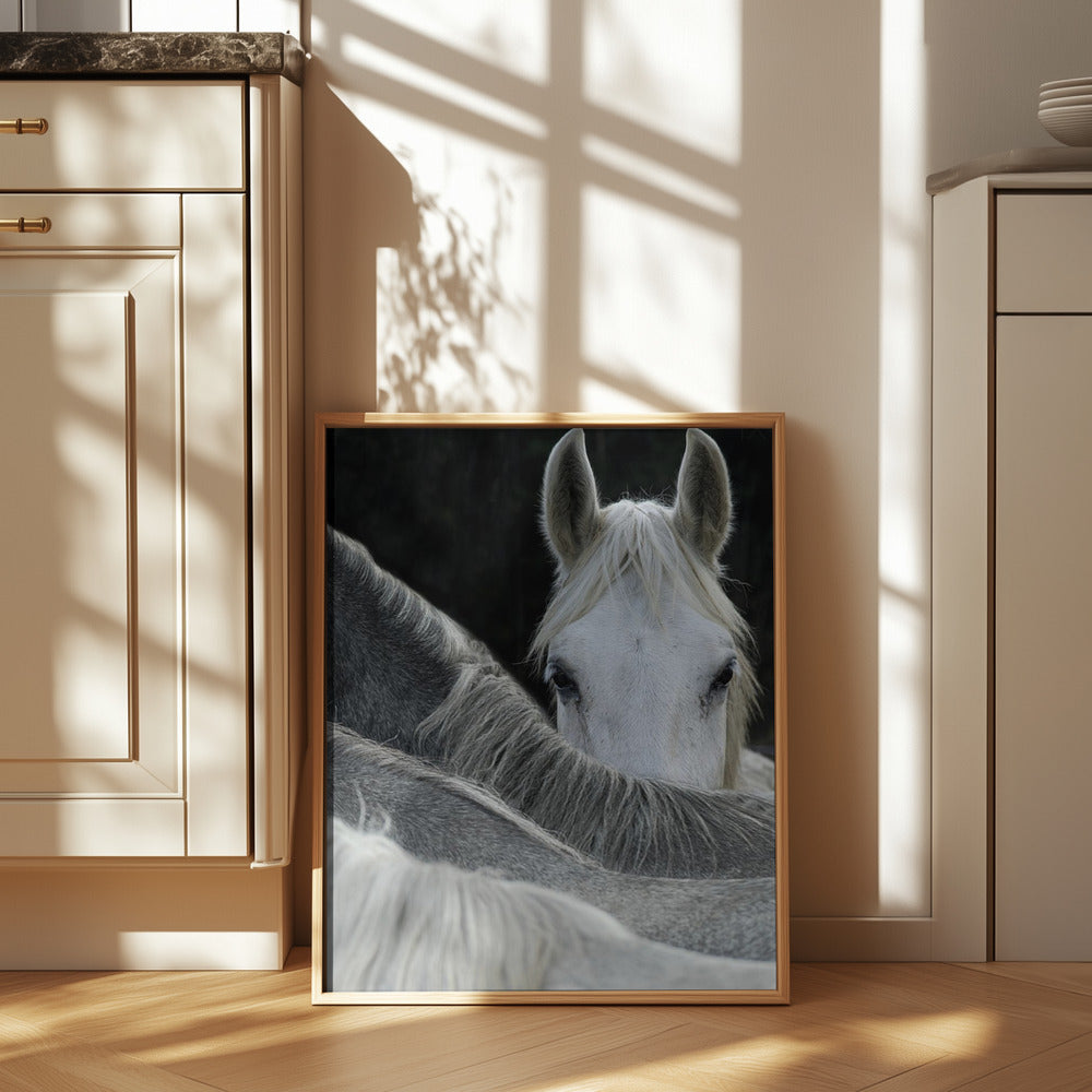 Look Poster och Canvastavla