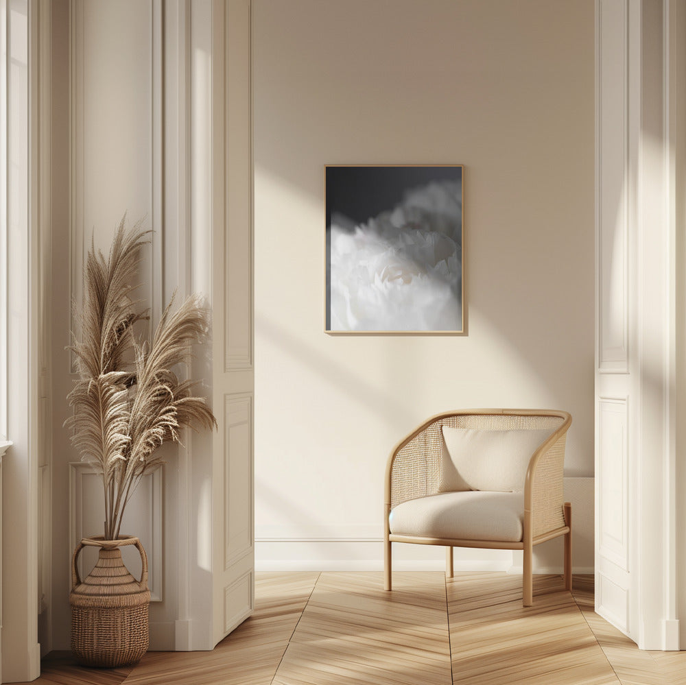 Peony_15 Poster och Canvastavla