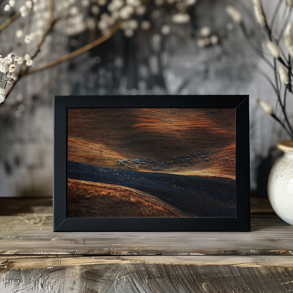 Il gregge 3 Poster och Canvastavla