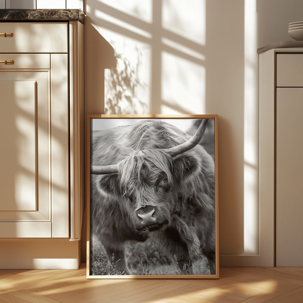 The Bull Poster och Canvastavla