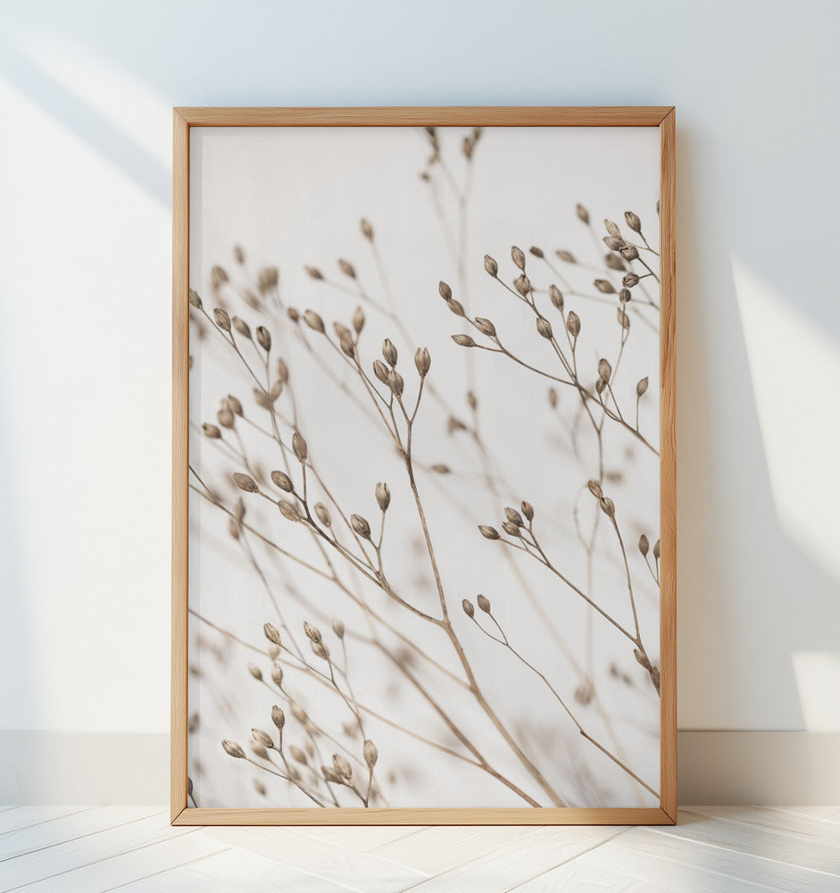 Wild Grass Poster och Canvastavla