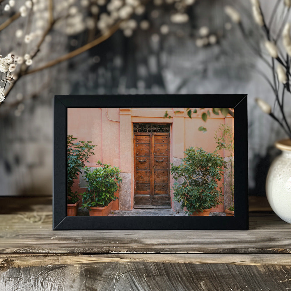 The Trastevere door Poster och Canvastavla