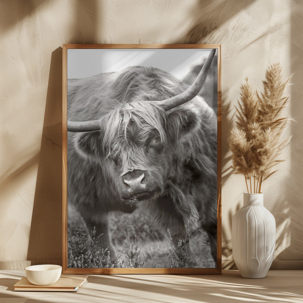 The Bull Poster och Canvastavla