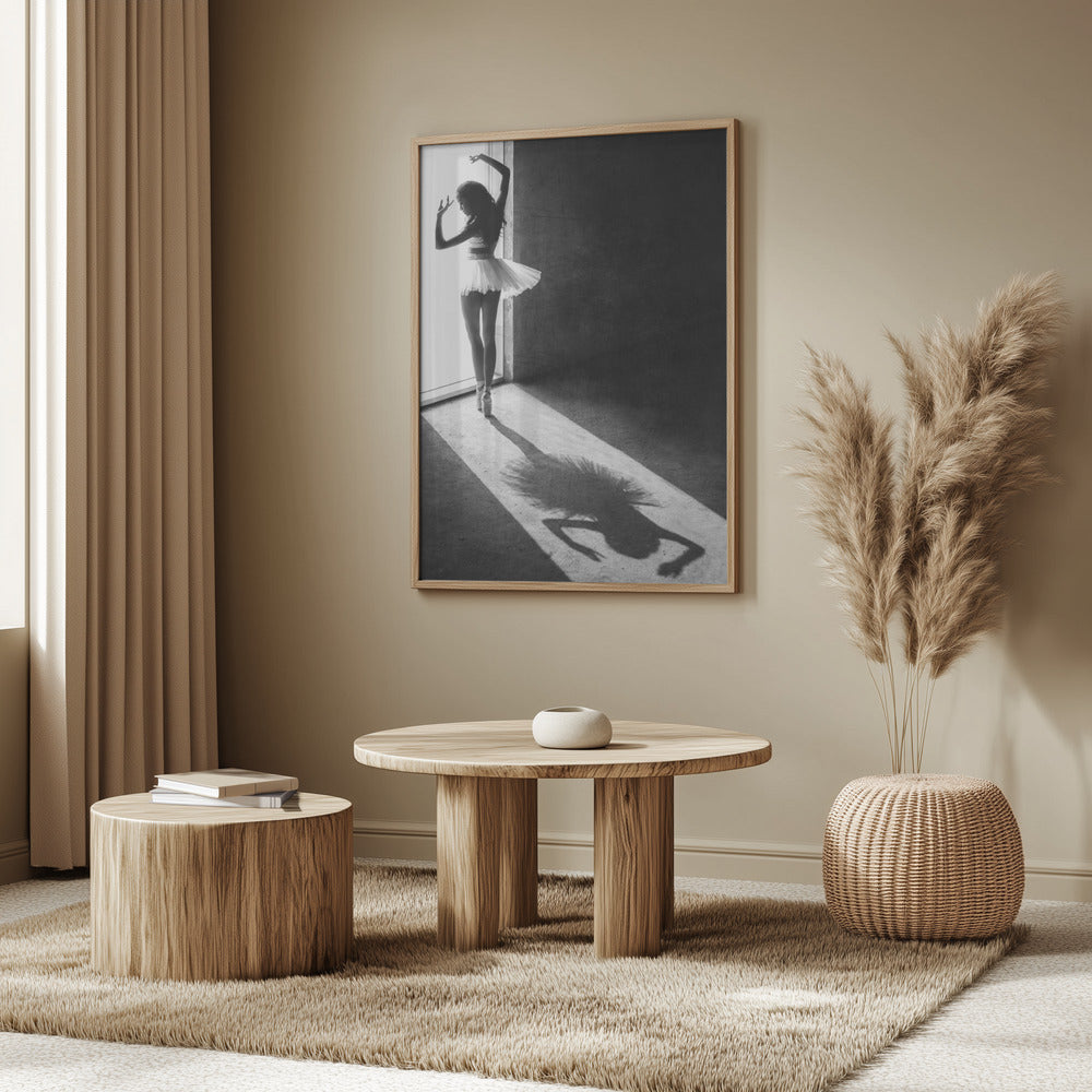 Shadow Dance Poster och Canvastavla