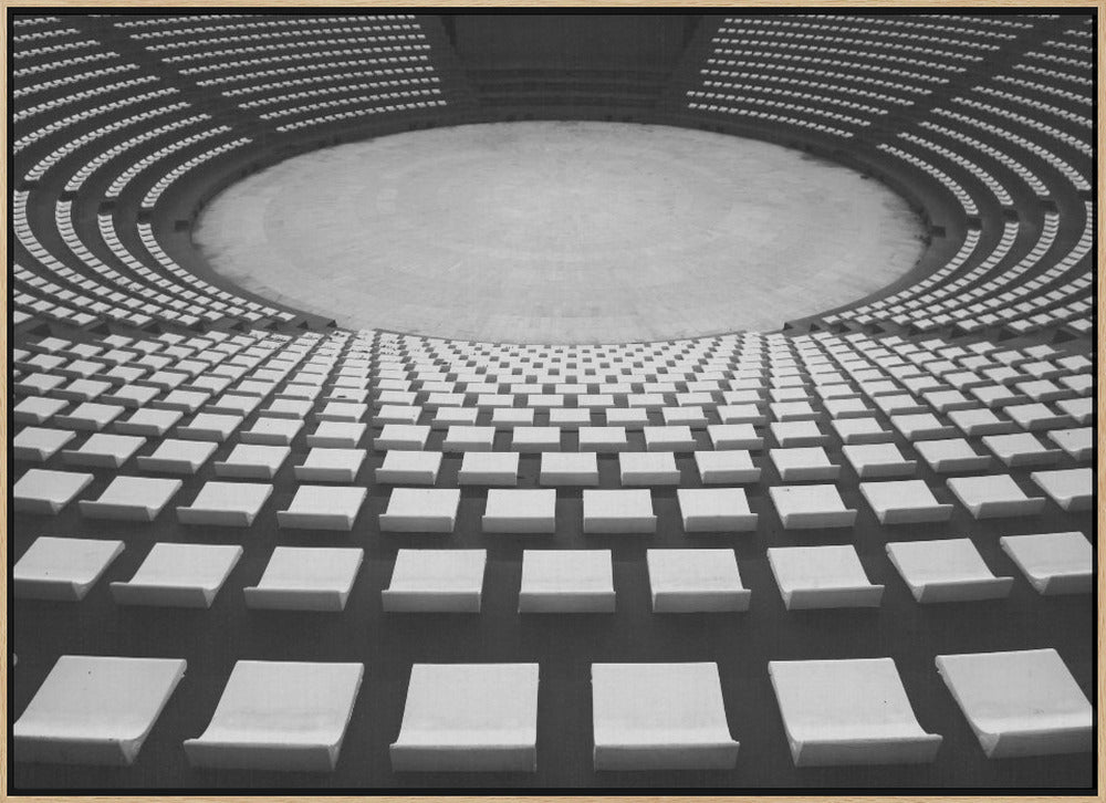 Auditorium Poster och Canvastavla