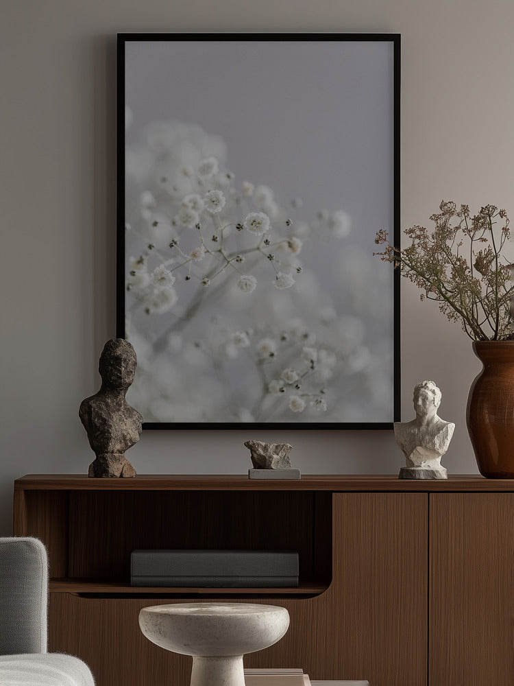 Babys Breath Poster och Canvastavla