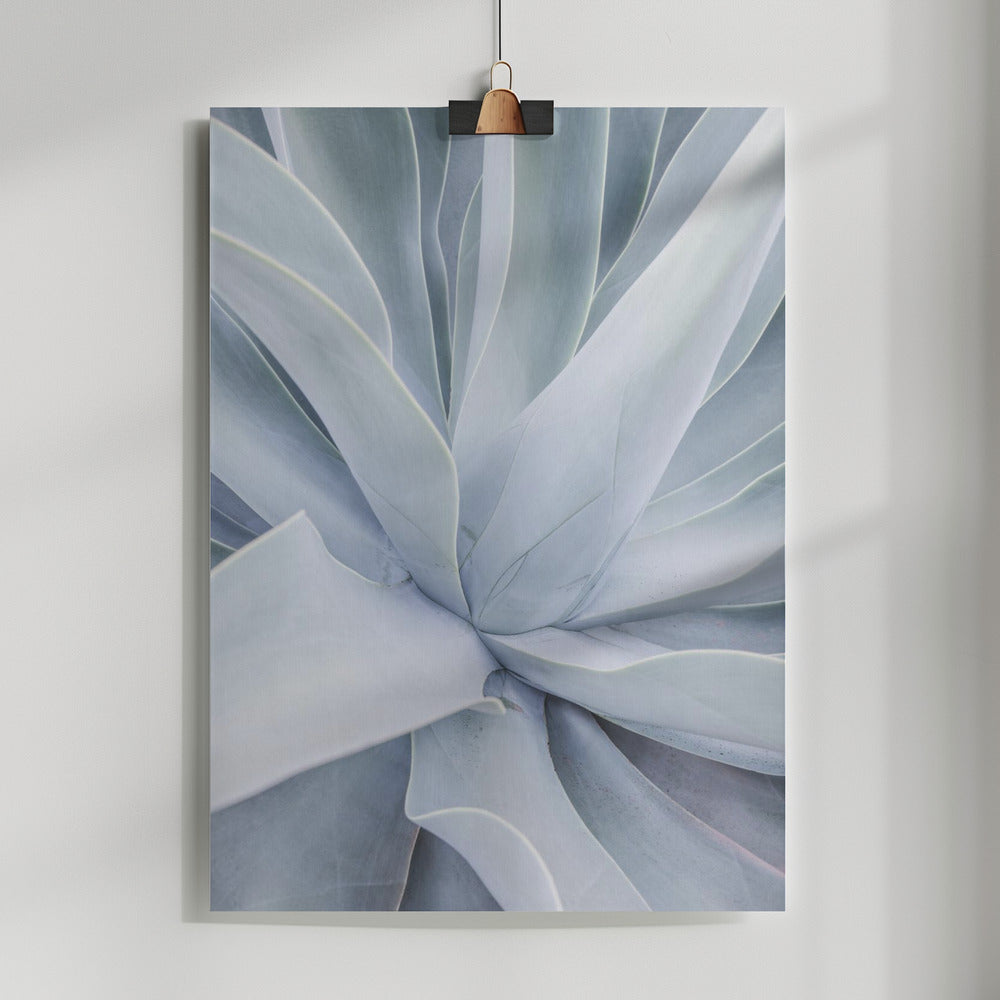 Crystal Cactus Poster och Canvastavla