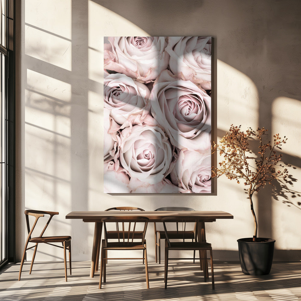 Pink Roses No 01 Poster och Canvastavla