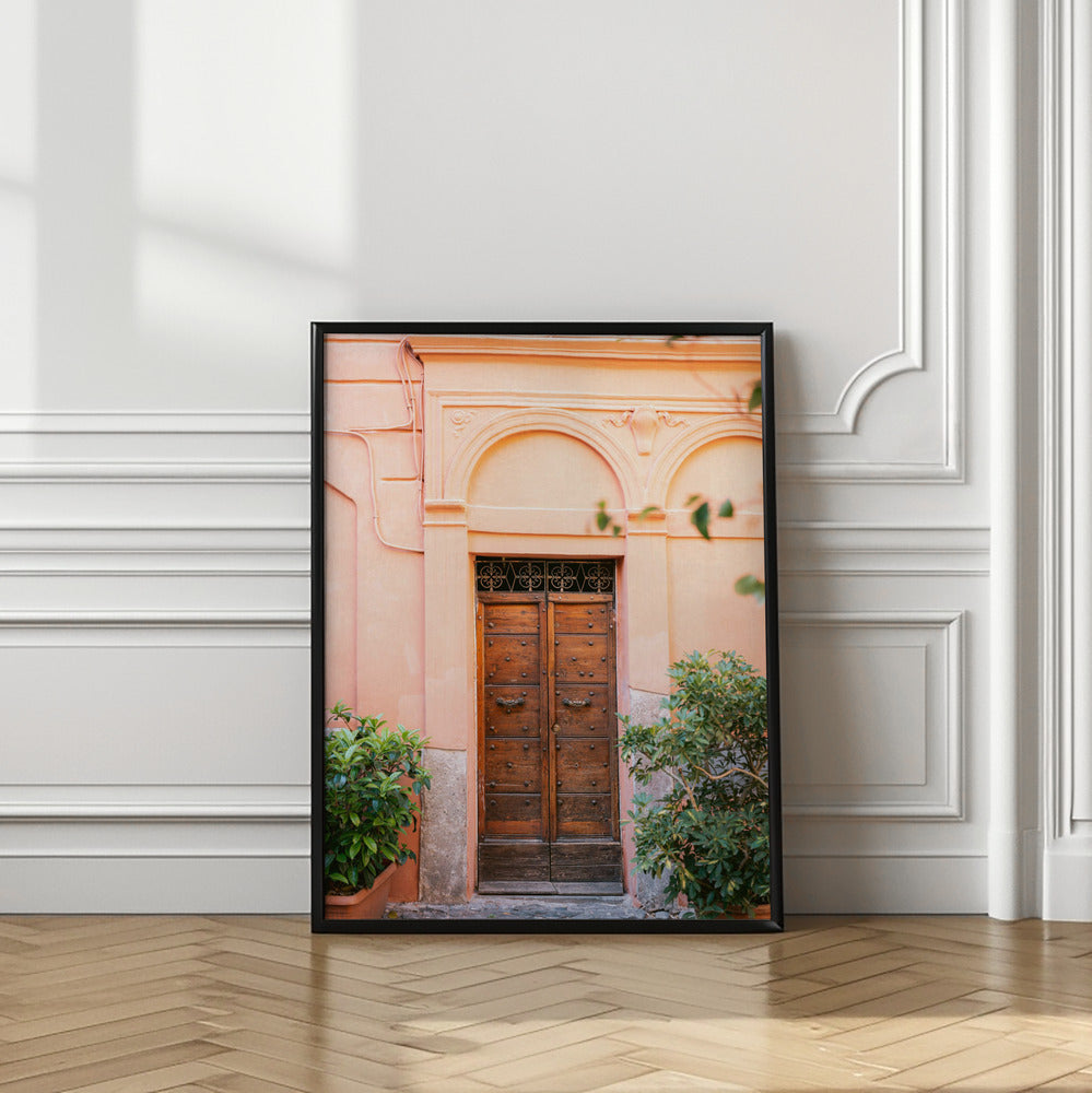 The Trastevere door || Poster och Canvastavla