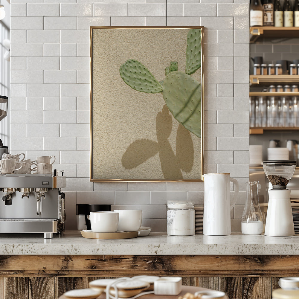 Cacti Shadowplay Poster och Canvastavla