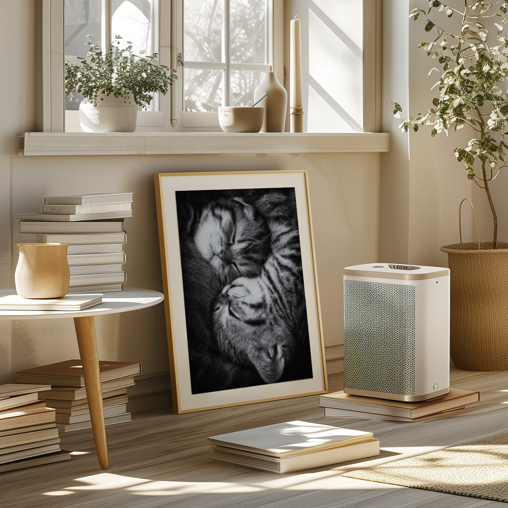 Yin and Yang Poster och Canvastavla