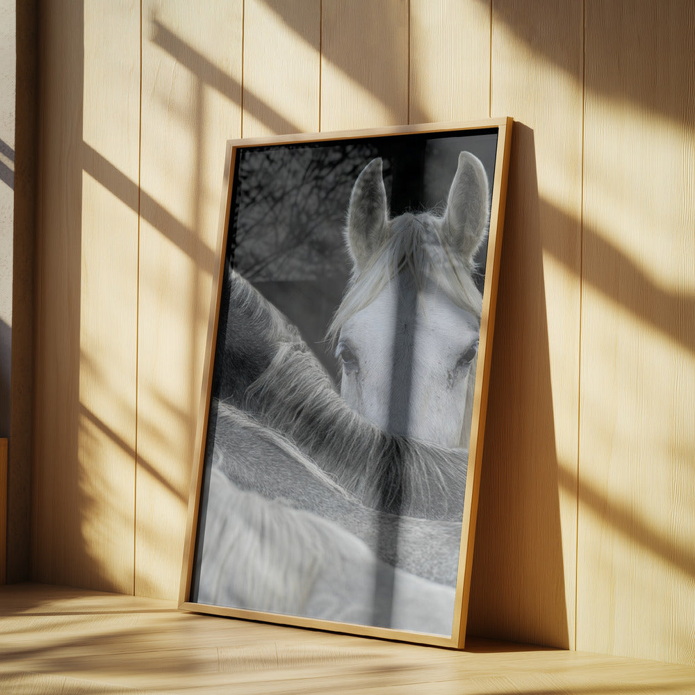 Look Poster och Canvastavla