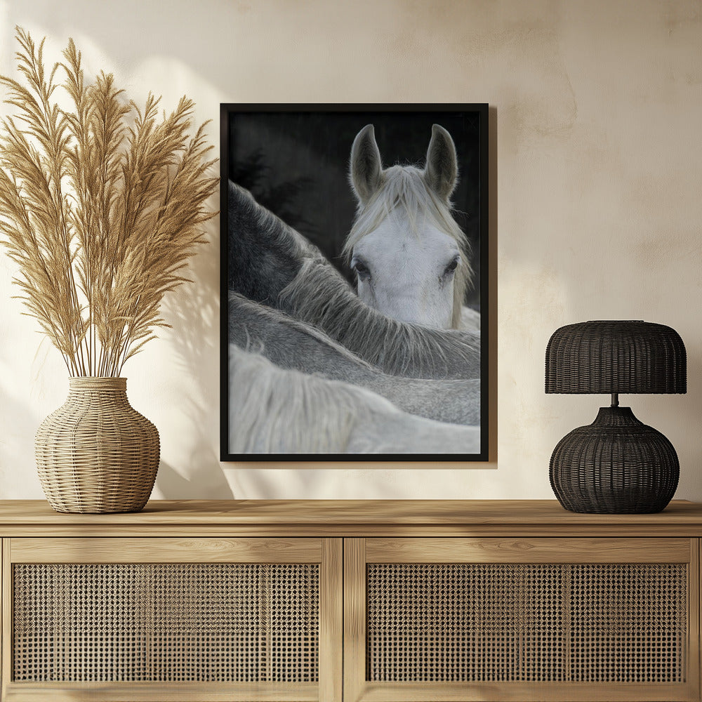 Look Poster och Canvastavla