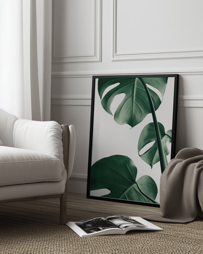 Monstera Natural 37 Poster och Canvastavla