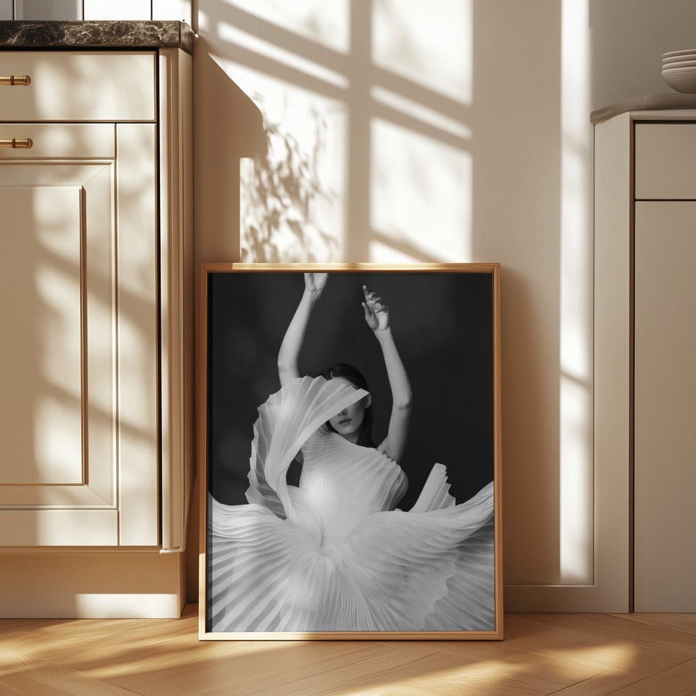 Amadeus Poster och Canvastavla