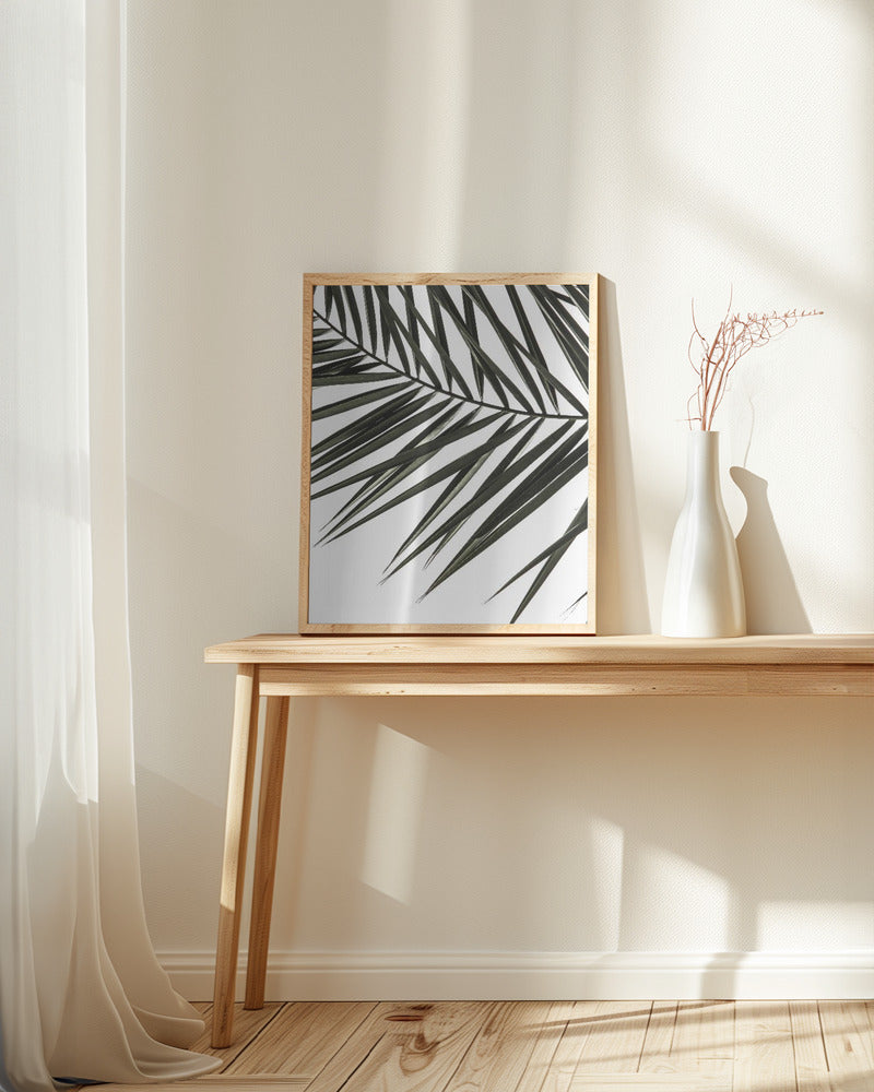 Phoenix Frond Poster och Canvastavla