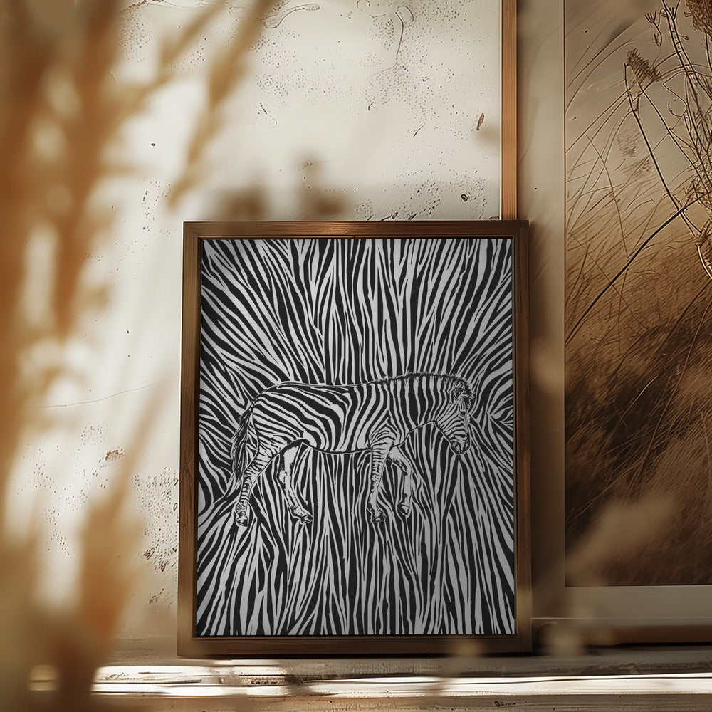 African Zebra striking camouflage Poster och Canvastavla