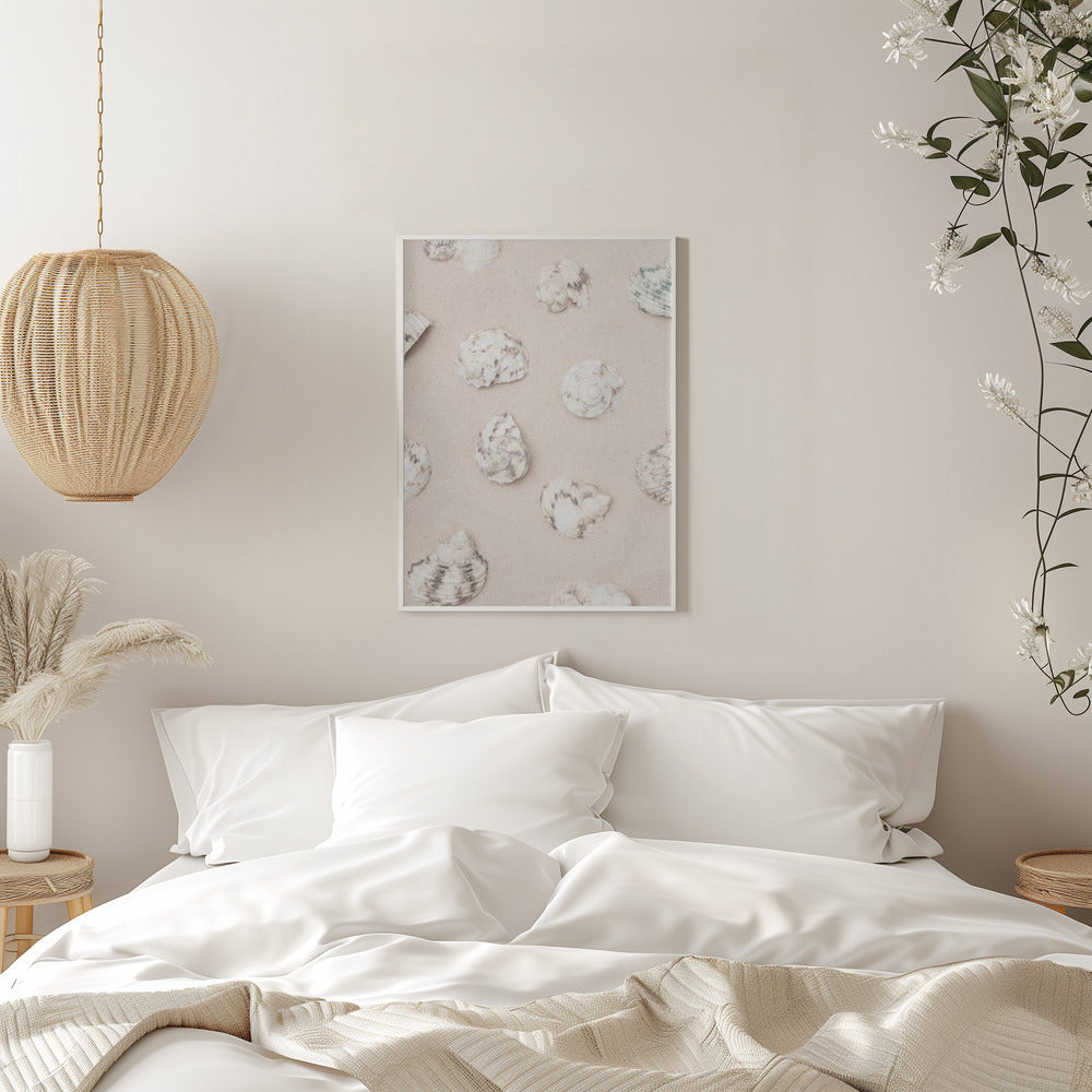 Shells_2 Poster och Canvastavla