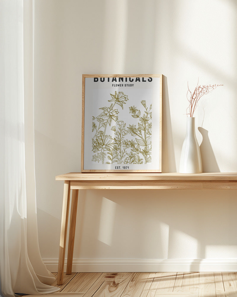 Botanicals Flower Study Ii Poster och Canvastavla