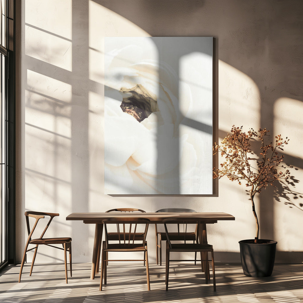 White Flower 01 Poster och Canvastavla