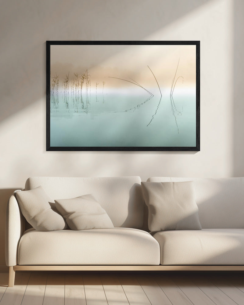 Silence Poster och Canvastavla