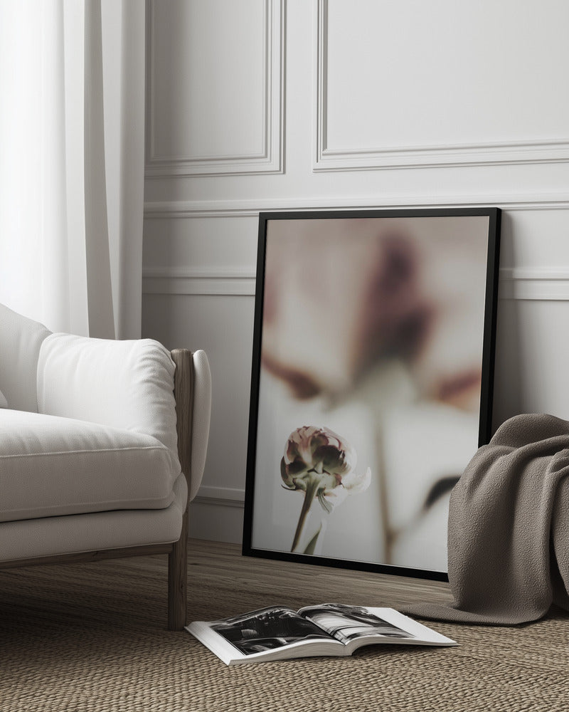 Peony 22 Poster och Canvastavla