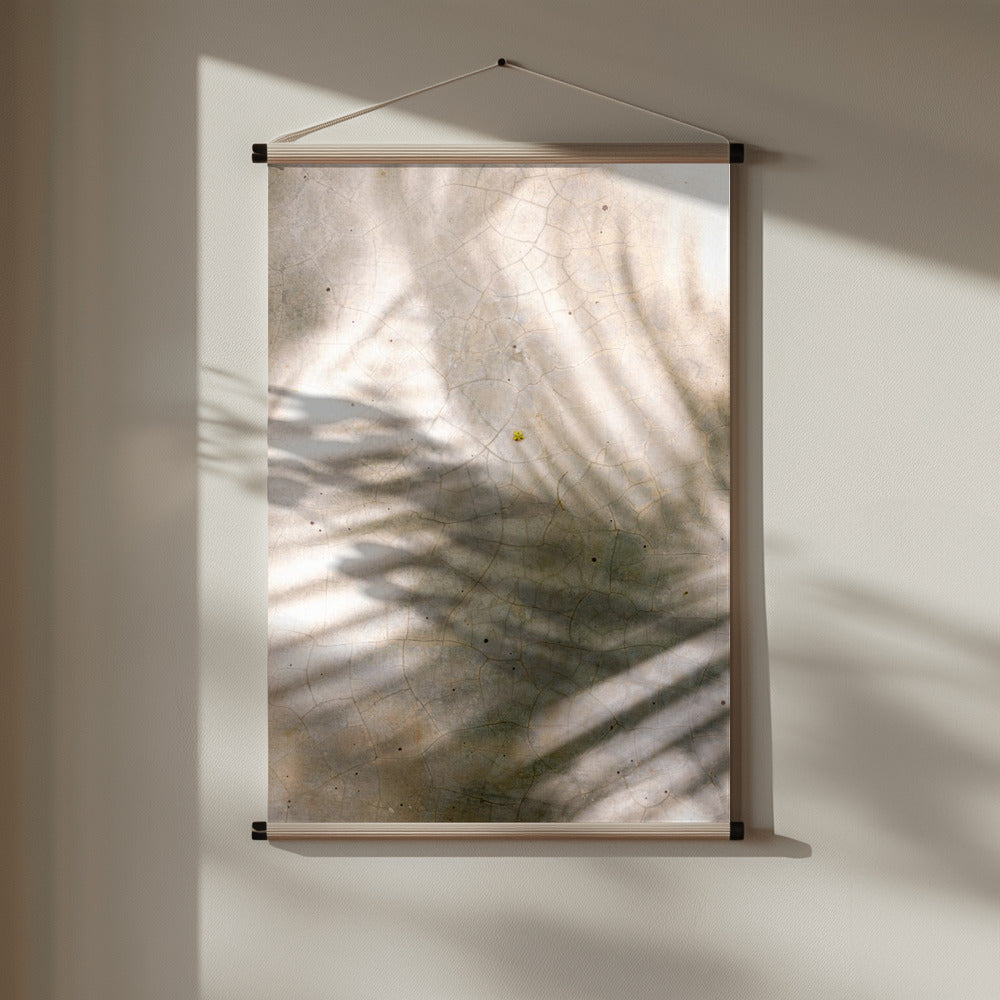 Palm Shadows Poster och Canvastavla