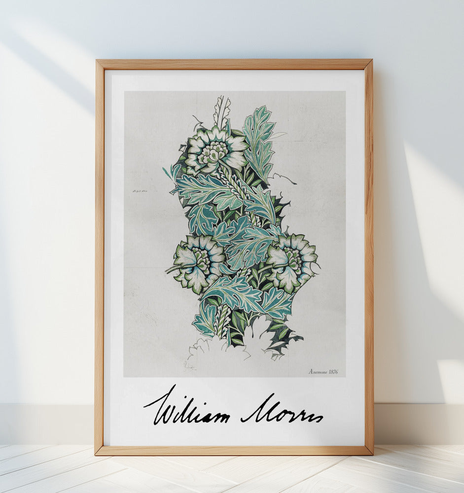 Anemone Poster och Canvastavla