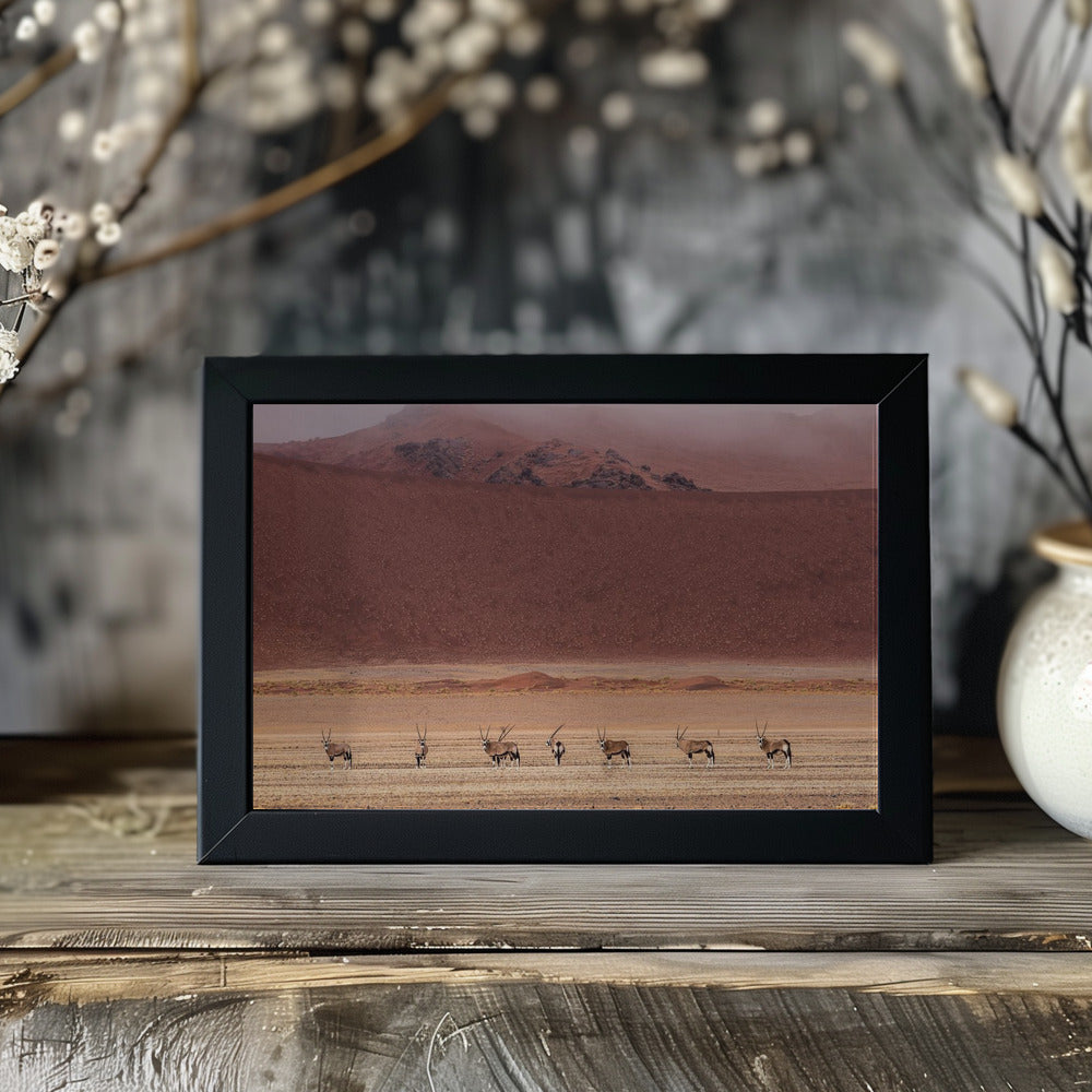 Orixs Poster och Canvastavla