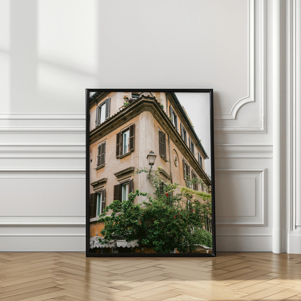 Botanical Trastevere Rome || Poster och Canvastavla