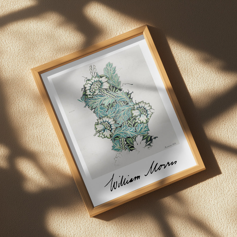 Anemone Poster och Canvastavla