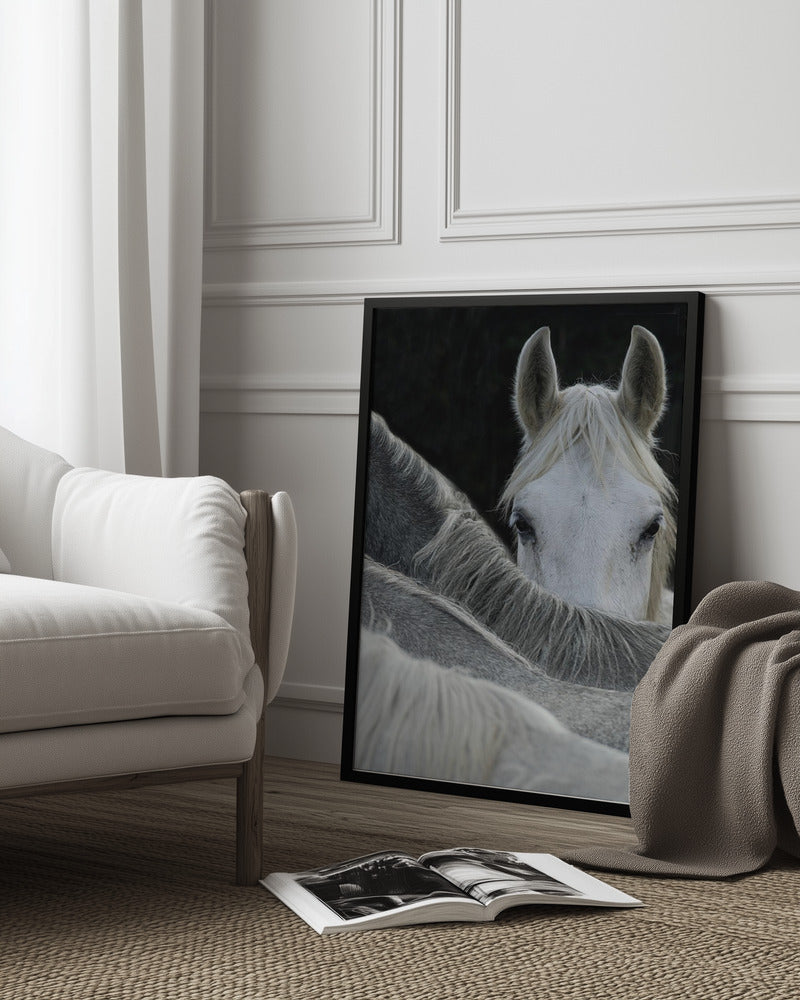 Look Poster och Canvastavla