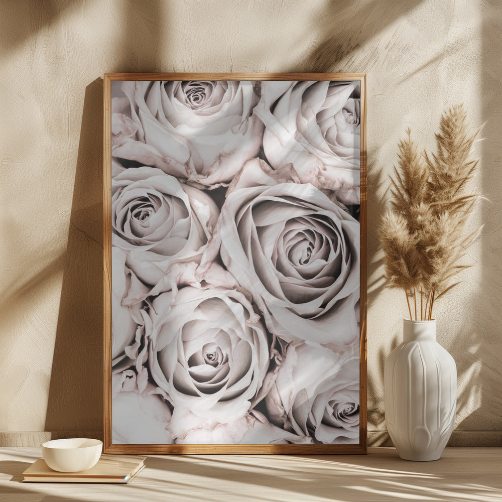 Grey Roses No 01 Poster och Canvastavla