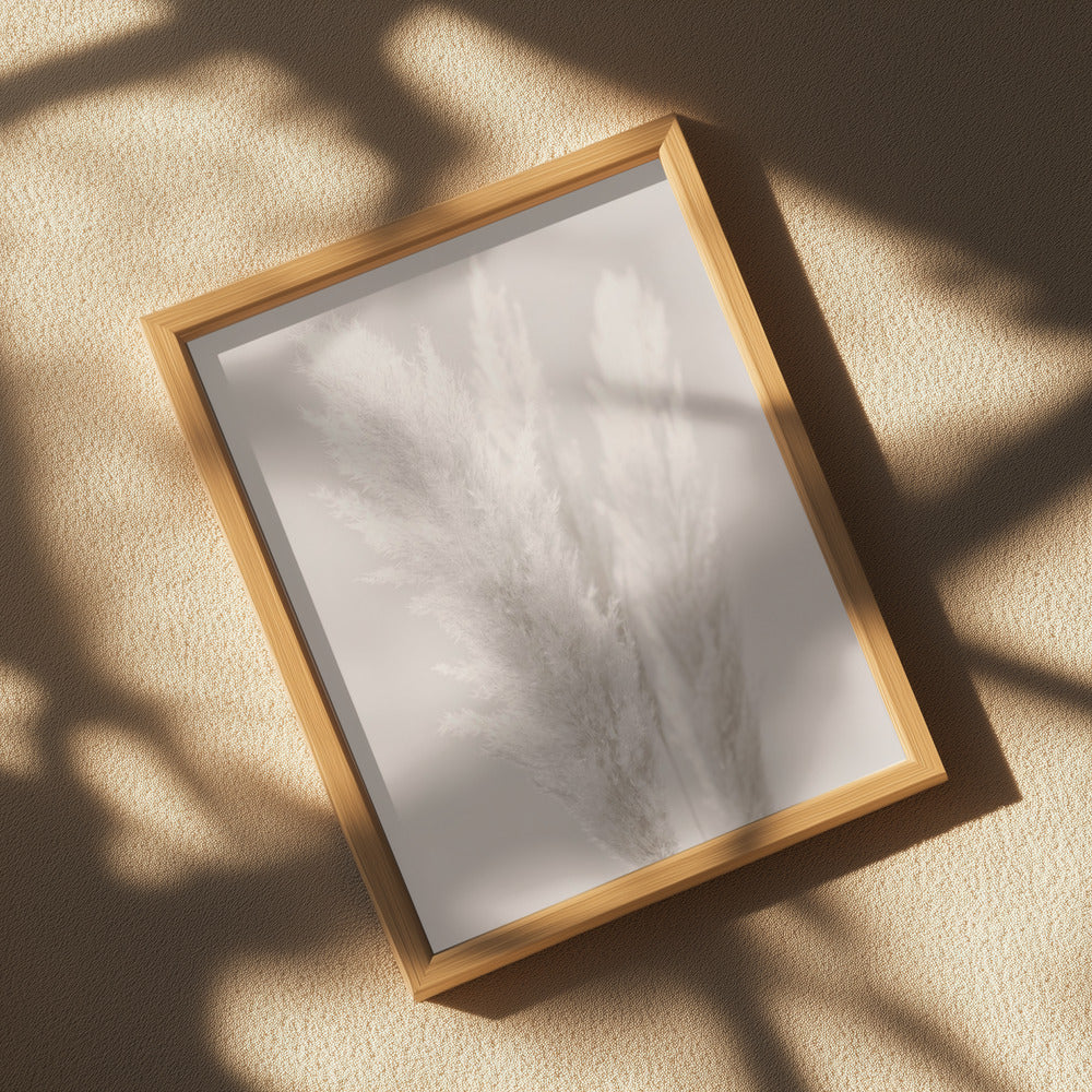 Pampas Grass_002 Poster och Canvastavla