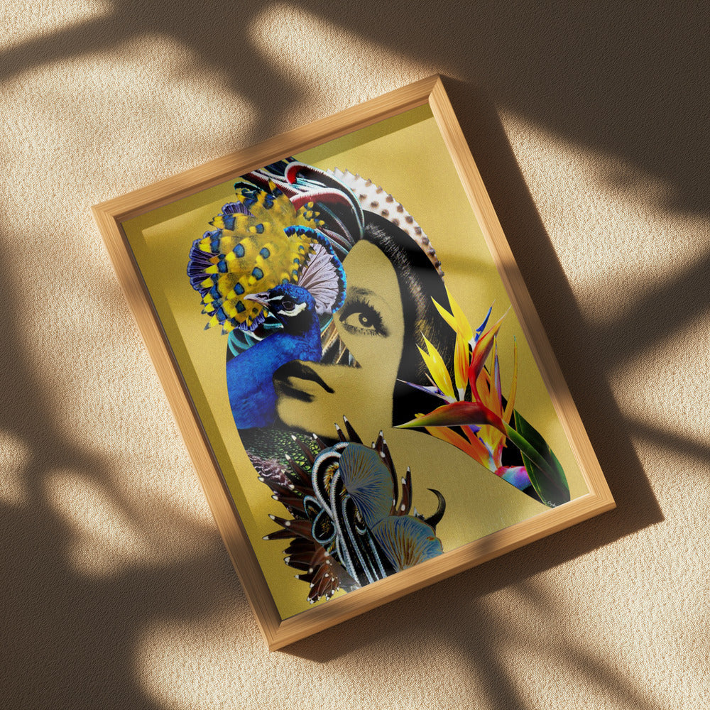 Sirin Poster och Canvastavla