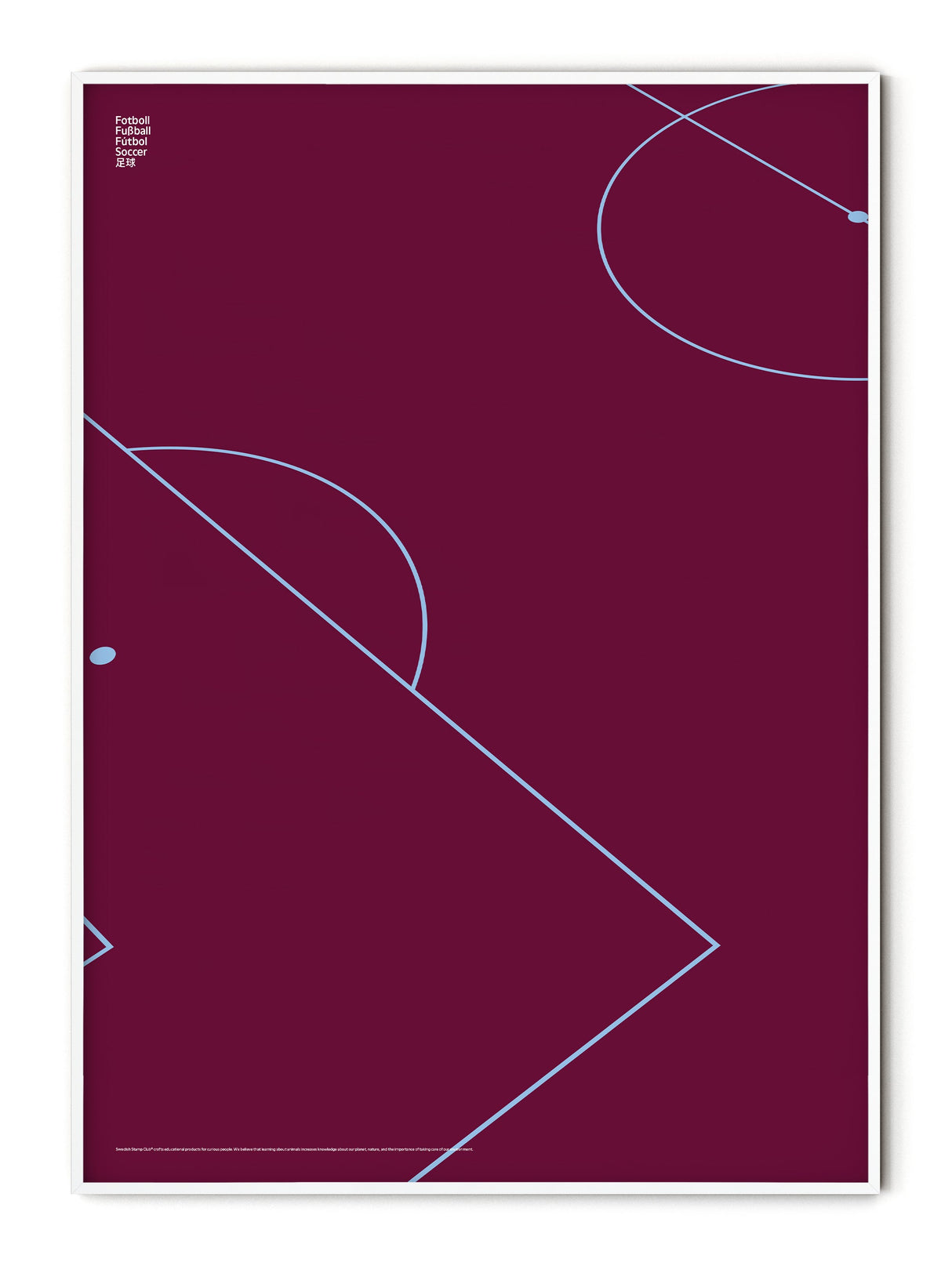 Sport Football Detail Poster