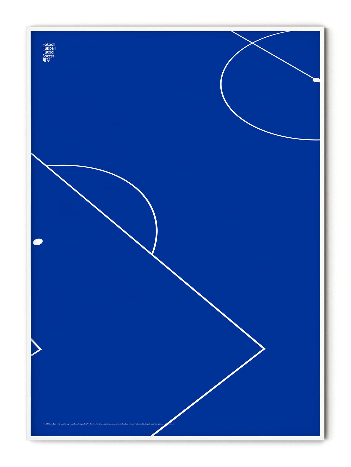 Sport Football Detail Poster