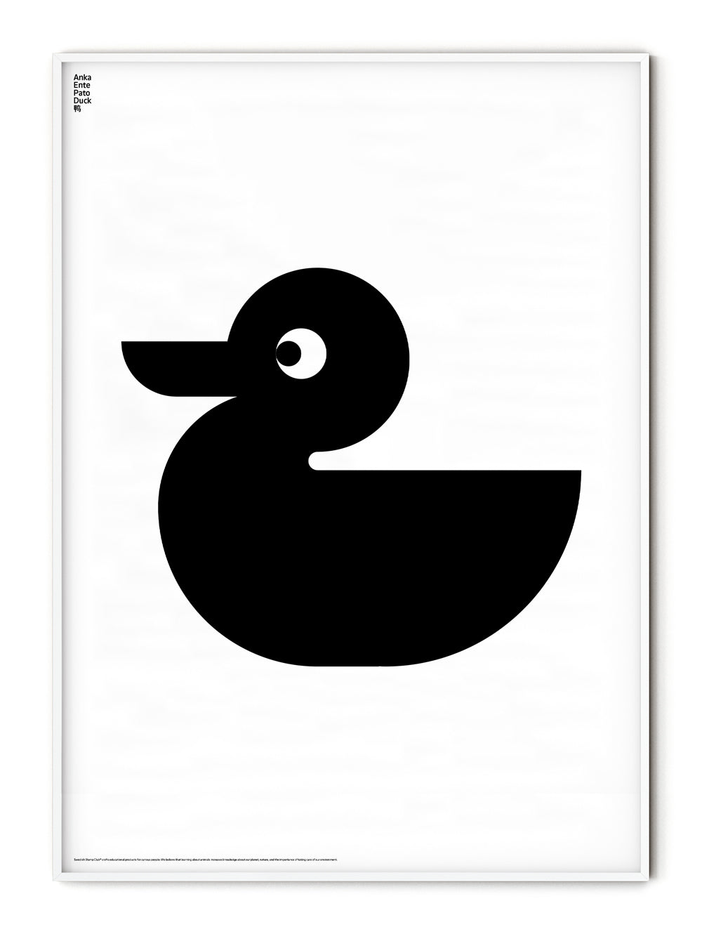 Animal Duck Poster