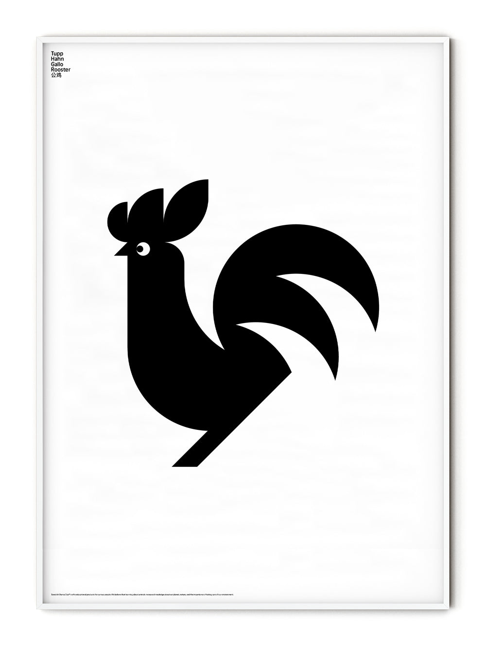 Animal Rooster Poster