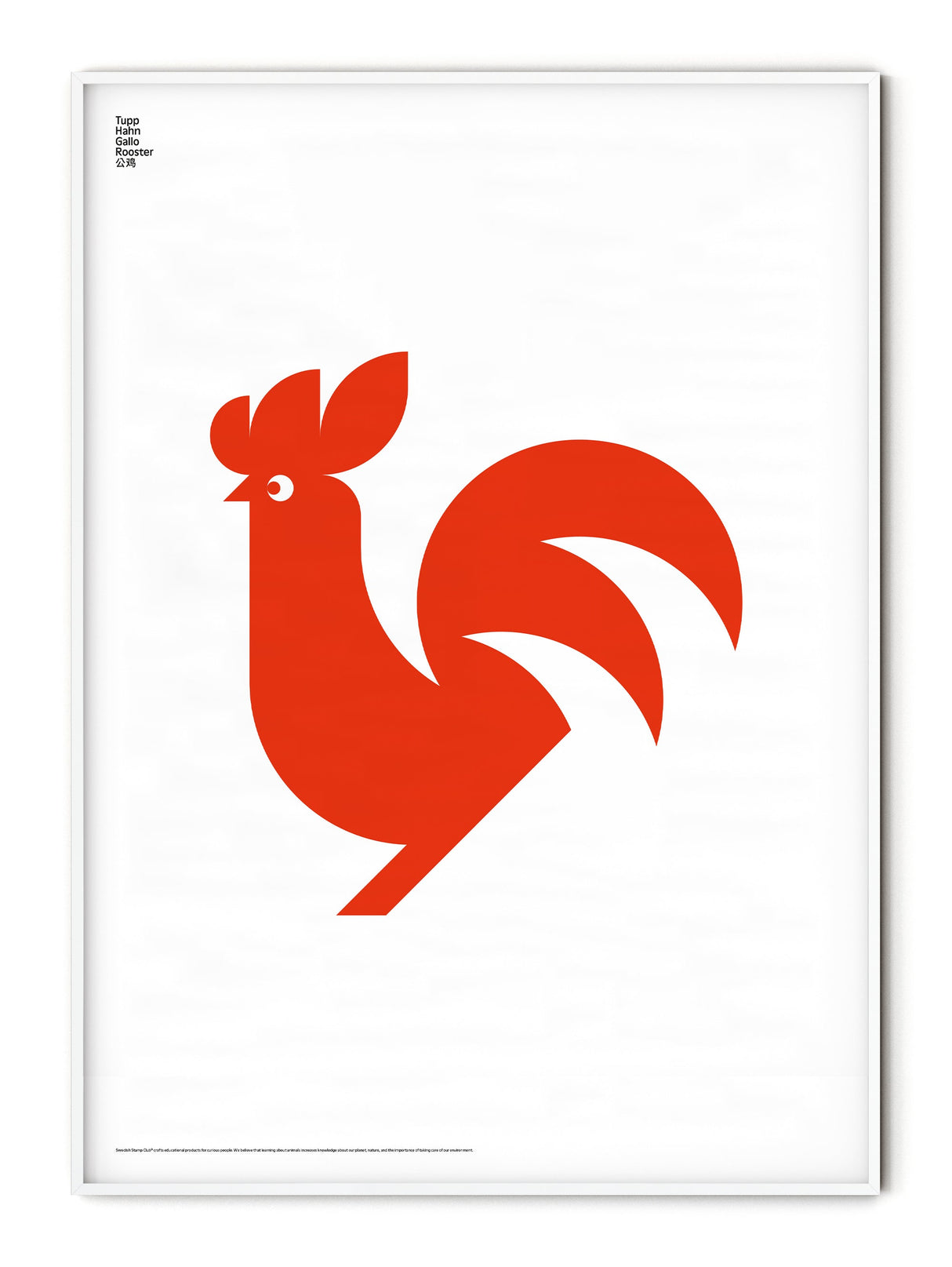 Animal Rooster Poster